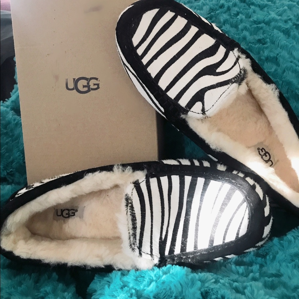 BRAND NEW UGGS! NEVER WORN